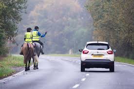 Image result for British Horse Society
