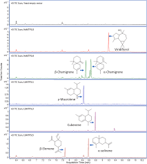 Attēlu rezultāti vaicājumam “Nardia scalaris cells”