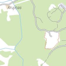 Attēlu rezultāti vaicājumam “Lachnum corticale”