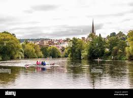 Image result for Ross Rowing Club