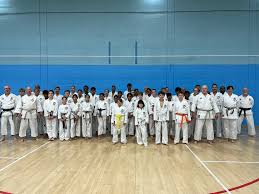 Image result for Caversham Karate Club SSKA