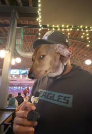 Image result for Eaglesfield Bowling Club