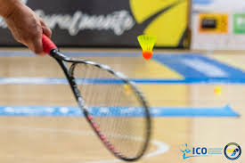 Image result for The Crosses Badminton Club