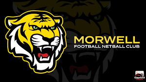 Image result for Moredon Netball Club