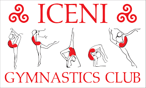 Image result for Colchester School Of Gymnastics