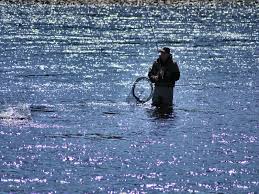 Image result for Aberdeen & District Angling Association