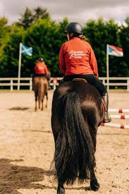 Image result for Scottish Equi Complex