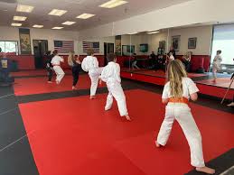 Image result for Newport Kyokushin Karate Club