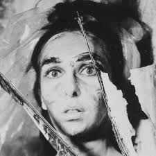 Image result for Schneemann