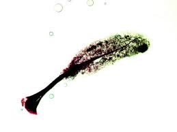 Attēlu rezultāti vaicājumam “Stemonitopsis subcaespitosa”