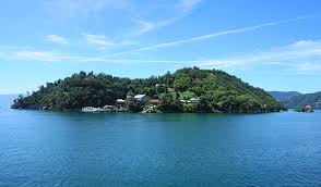 Image result for Bushiki Kwai