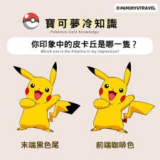 Image result for 皮卡丘