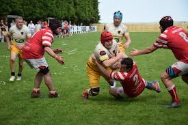Image result for Saltash RFC
