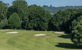 Image result for Betchworth Park Golf Club
