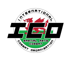 Image result for Fighting Arts Organisation of Great Britain