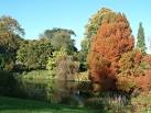 Sandringham House Gardens, Autumn plumage ! - via Daymix