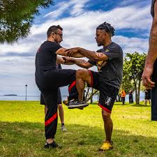 Image result for Windsor WingTsun Kung fu