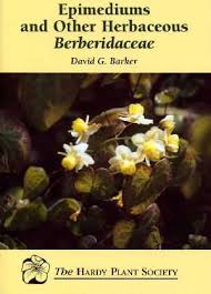 Attēlu rezultāti vaicājumam “Berberidaceae”