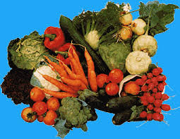 Image result for GemüseeuleGrüßle