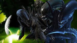 Image result for xenomorph