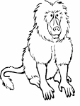 Baboon coloring page