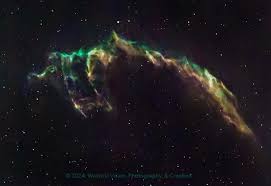 Attēlu rezultāti vaicājumam “Cygnus”