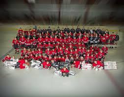 Image result for City Of Ely Roller Hockey Club