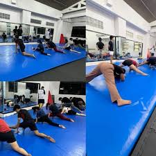 Image result for Focus Institute of Gymnastics