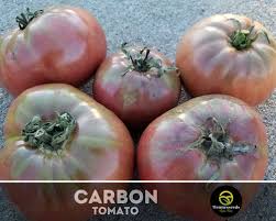 Afbeeldingsresultaat voor carbon tomato