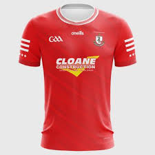 Image result for O`donovan Rossa Gfc