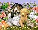 Pets Day in May &amp; Animal Week Theme Units, Lessons, Webquests ...