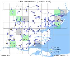 Attēlu rezultāti vaicājumam “Cabera exanthemata female”