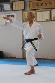 Image result for Seiki Juku Karate Club
