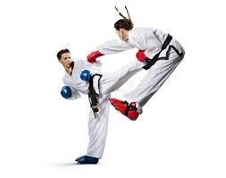 Image result for Action Karate