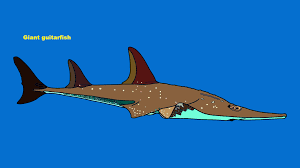 Image result for Rhynchobatus djiddensis