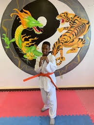 Image result for Pyramid martial arts