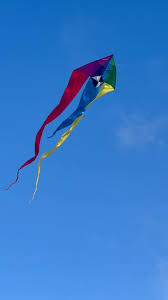 Image result for Kite Club of Scotland