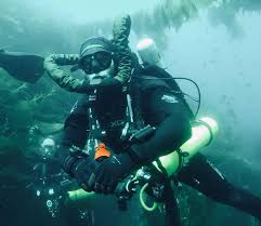 Image result for Dive Crew Scuba Diving