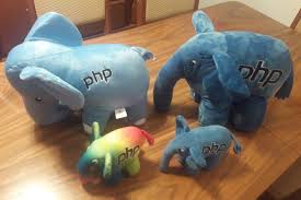 Image result for elephpant