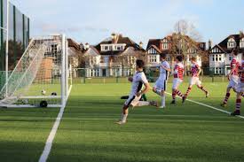 Image result for Thames Ditton Schools Fc