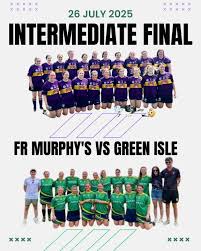 Image result for Green Isle Camogie Club - Players Wanted!