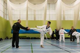 Image result for Bytomic Taekwondo