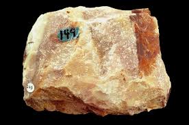 Image result for SEM micrographs of Novaculite Arkansas