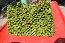 Attēlu rezultāti vaicājumam “Trapaceae”