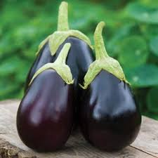 Afbeeldingsresultaat voor bianca a uovo eggplant