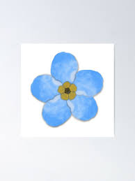 Image result for Vergissmeinnicht