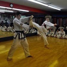Image result for Utf Jaguar Tkd