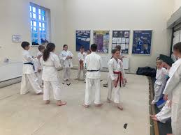 Image result for Anfield Youth Activity Centre Judo Club