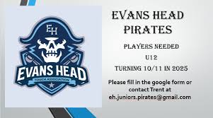 Image result for Rayleigh boys under 7's Leopards- need a Goalie!