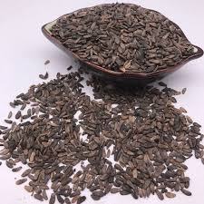 Attēlu rezultāti vaicājumam “Arctium lappa fruit”